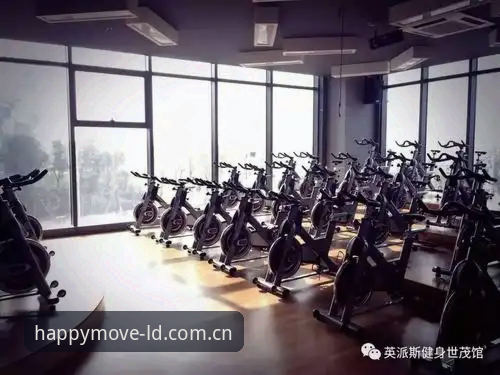 资深用户孙浩亲测：乐动体育中国下载全流程与使用心得
